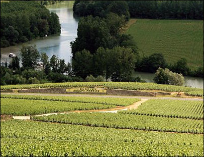20120528-wine FrenchChampagne_Vineyards.jpg